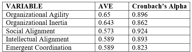 Intellectual and Social Alignment on Organizational Agility